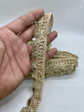 9mtr fancy lace